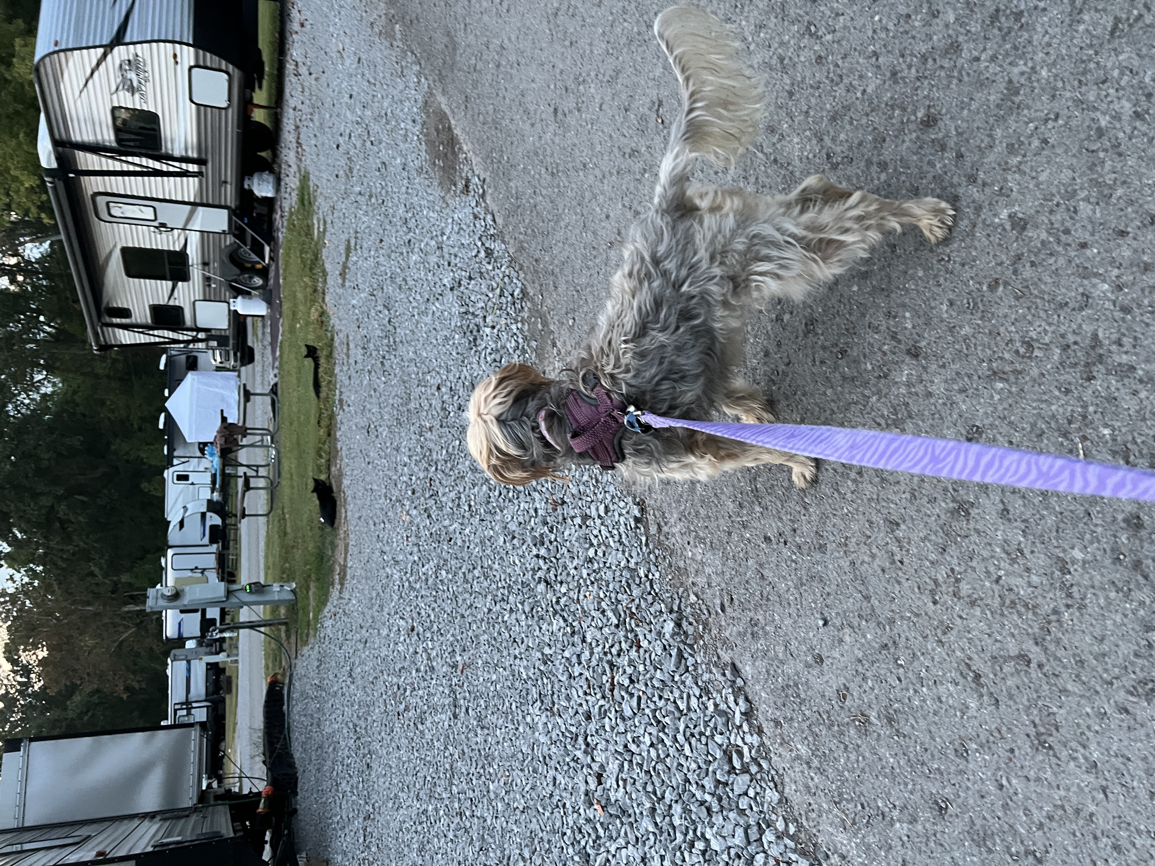 ./2025/11 - Nashville Trip/IMG_6769.JPG